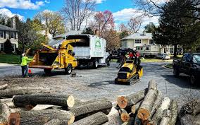 Best Tree Disease Treatment  in Collinsville, OK