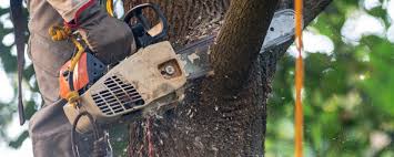 Best Firewood Processing and Delivery  in Collinsville, OK