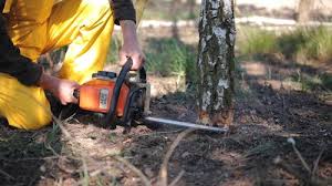 Best Lawn Grading and Leveling  in Collinsville, OK