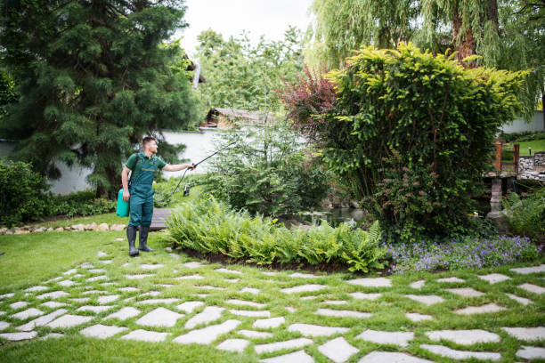 Best Tree and Shrub Care  in Collinsville, OK