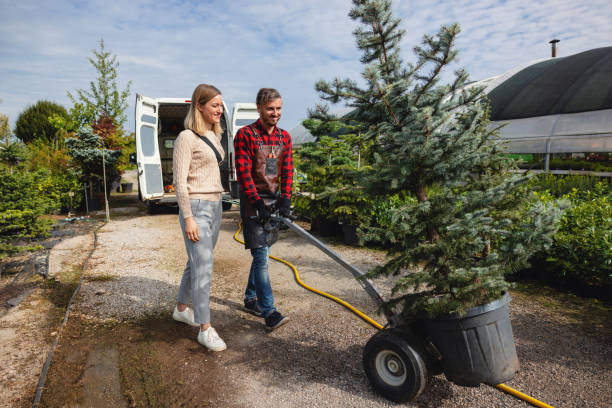 Best Lawn Renovation and Restoration  in Collinsville, OK